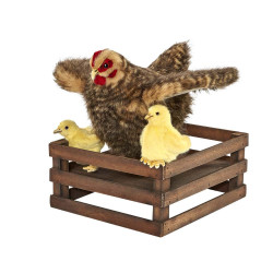 Location automate poule poussin Anima -L0316