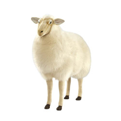Location automate mouton 105cml Anima -L0403