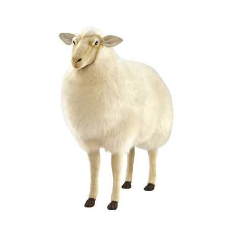 Location automate mouton 105cml Anima -L0403