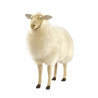 Location automate mouton 105cml Anima -L0403