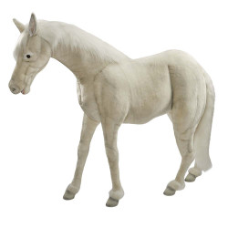 Location automate cheval blanc 135cmh/160cml Anima -L0400
